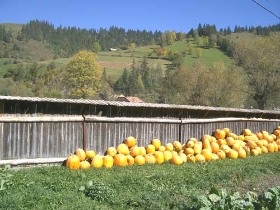 turizmus, vakáció, szabad szállás